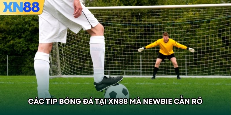Các Tip bóng đá tại XN88 mà newbie cần rõ