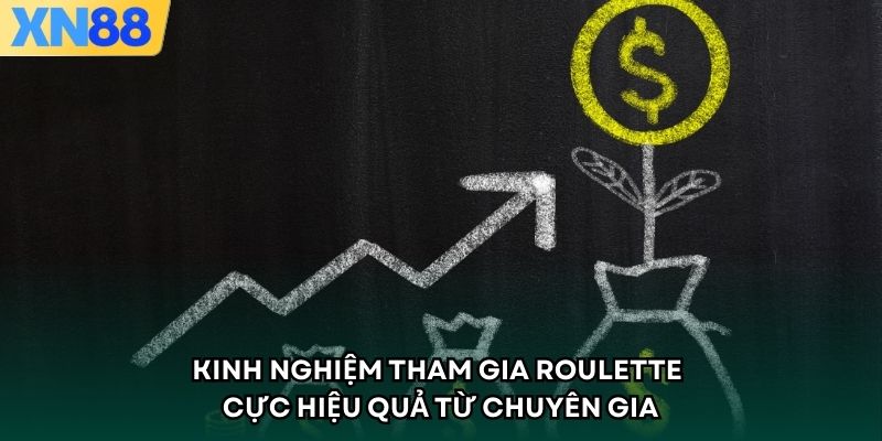 Kinh nghiệm tham gia Roulette cực hiệu quả từ chuyên gia