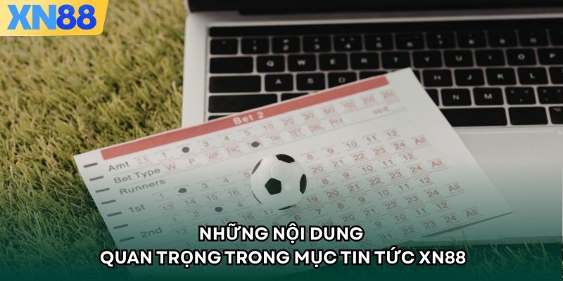 Những nội dung quan trọng trong mục tin tức 