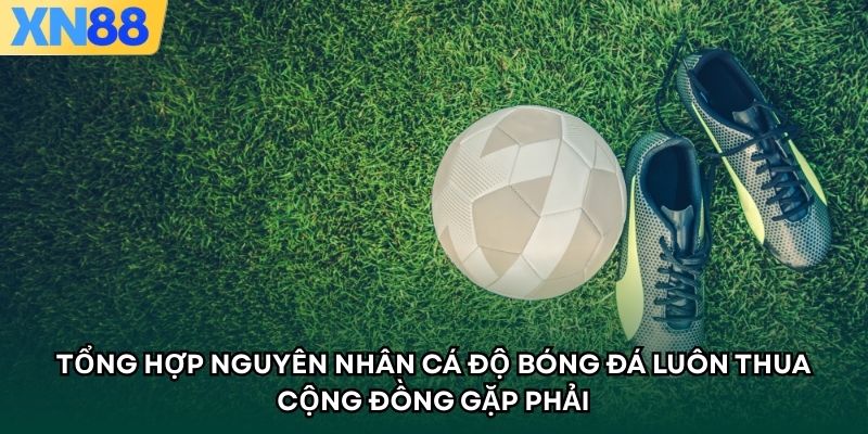 Tổng hợp nguyên nhân cá độ bóng đá luôn thua cộng đồng gặp phải