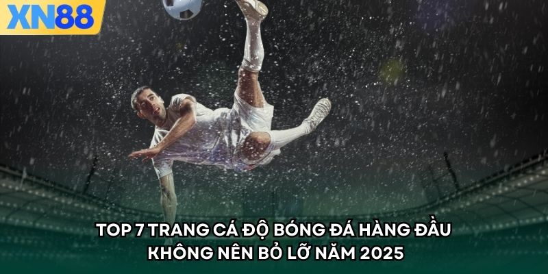 Top 7 Trang Cá Độ Bóng Đá Hàng Đầu Không Nên Bỏ Lỡ Năm 2025